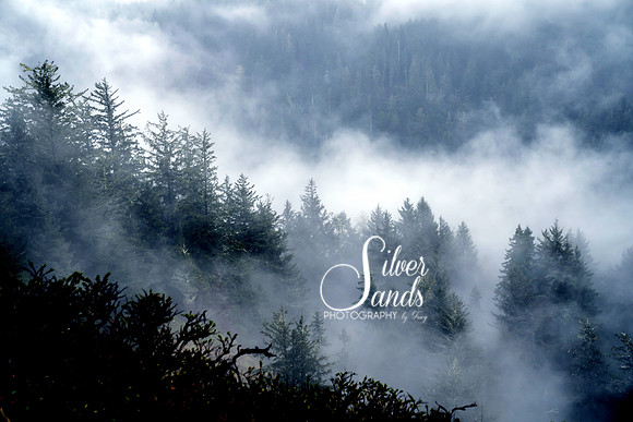 In the Mist